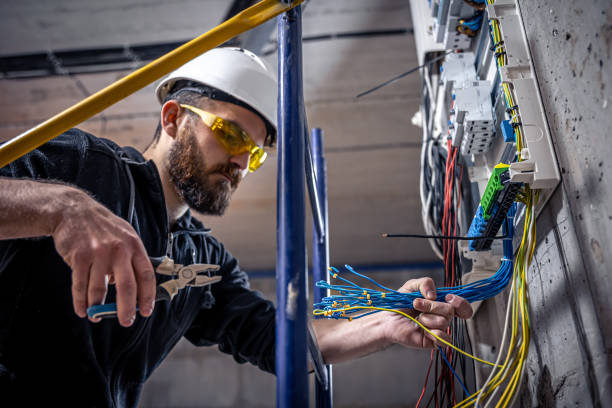 Best Electrician for Home Renovation  in Tyro, NC
